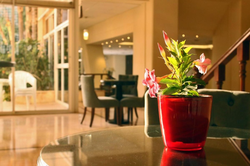 Cosmopolitan Hotel Image 16